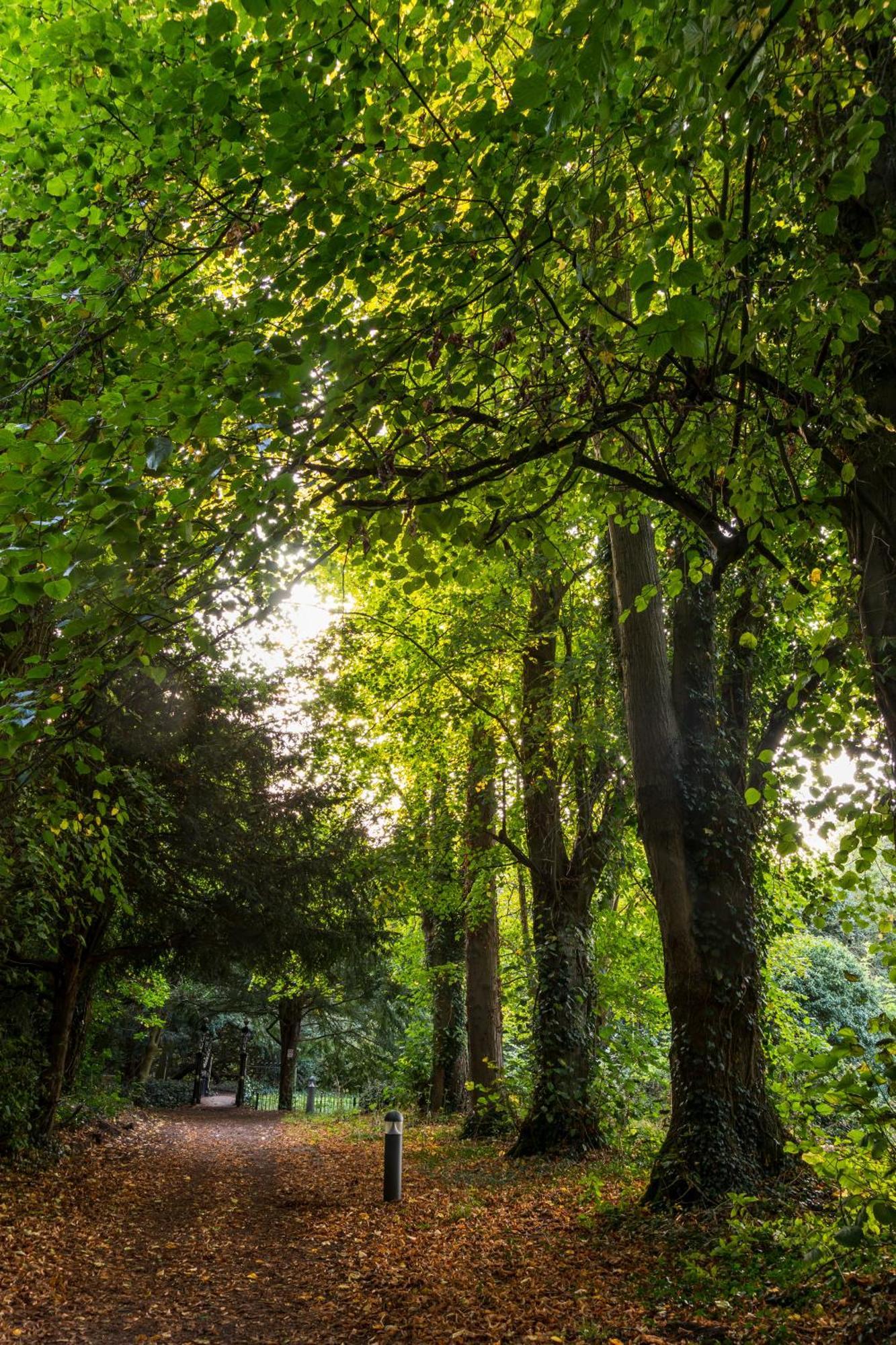 Bosworth Hall Hotel & Spa Market Bosworth Dış mekan fotoğraf